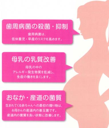 ロイテリ菌