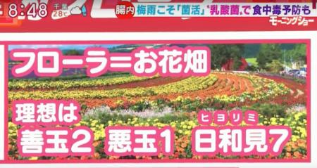 ロイテリ菌