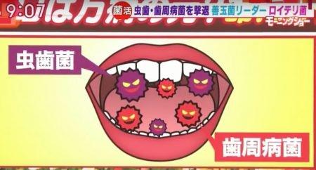 ロイテリ菌