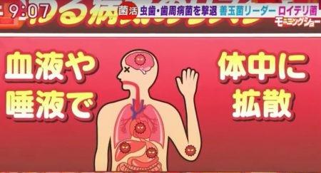 ロイテリ菌