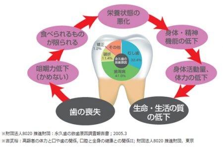 ロイテリ菌