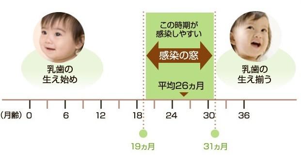 ロイテリ菌
